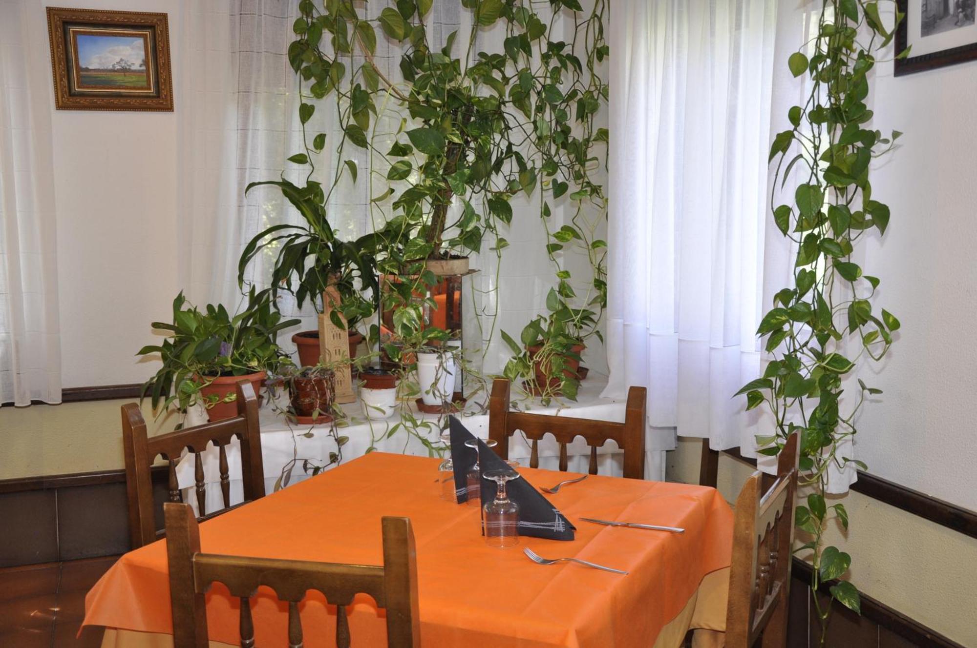 Hotel Castillo D'Acher Siresa ภายนอก รูปภาพ